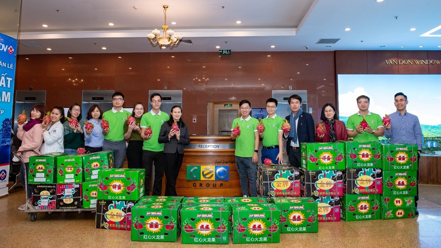 Tập đoàn CEO thu mua 2 tấn thanh long ủng hộ bà con nông dân Bình Thuận
