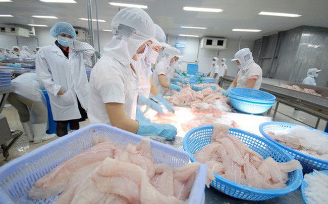 Trung Quốc vừa công bố danh sách 665 doanh nghiệp thủy sản Việt Nam được xuất khẩu chính thức sang nước này