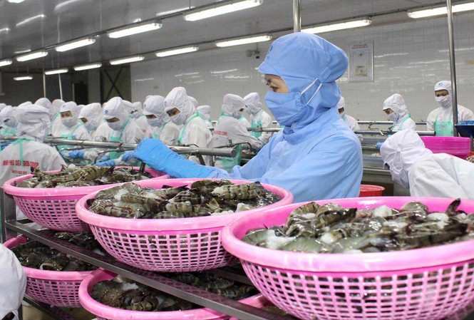 Nhiều mặt hàng thủy sản của Việt Nam sẽ rộng cửa hơn vào EU khi Hiệp định EVFTA có hiệu lực