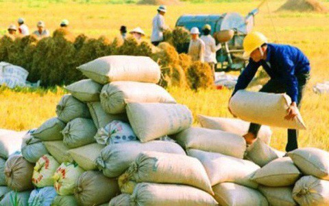 Bộ Công Thương đề xuất cho xuất khẩu 400.000 tấn gạo trong tháng 4, tặng dự trữ gạo trong nước lên 700 tấn 