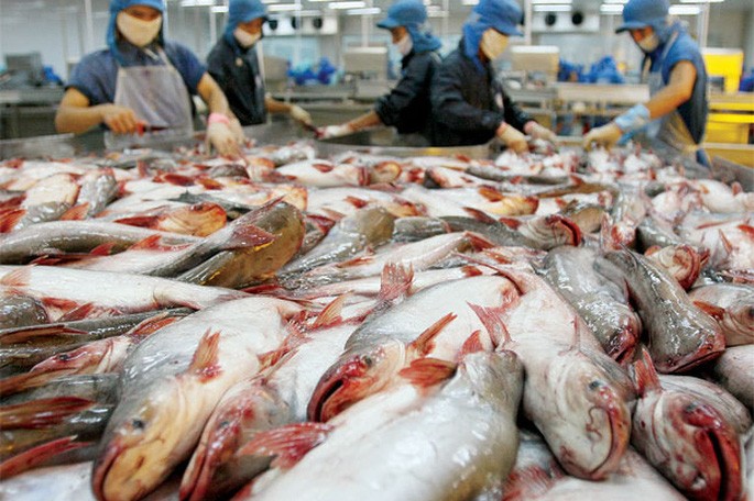 Campuchia hủy lệnh cấm nhập khẩu 4 loại cá da trơn từ Việt Nam