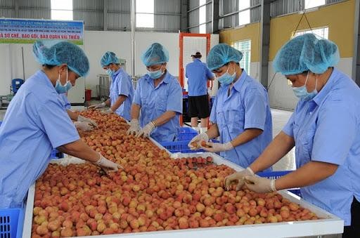 Bộ trưởng Công Thương Nguyễn Hồng Diên đề nghị Trung Quốc mở ‘luồng xanh’ cho nông, thủy sản Việt Nam
