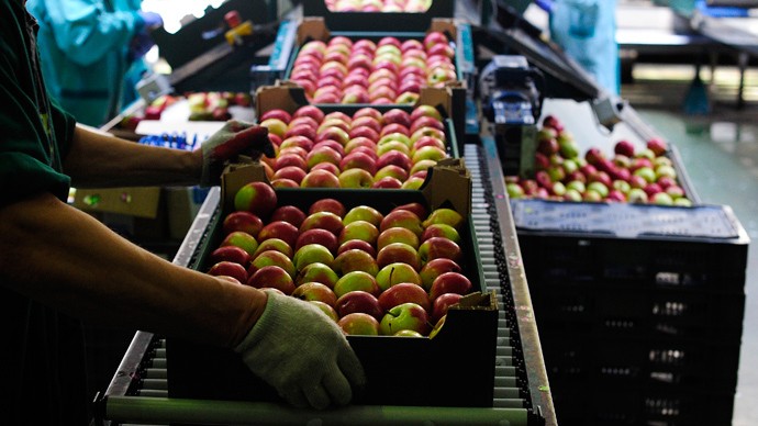 Xuất khẩu táo của Ba Lan đang chịu ảnh hưởng từ lệnh cấm của Nga