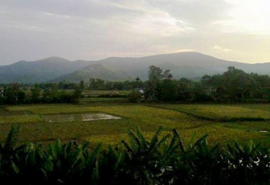 Khu vực núi Nưa, nơi Nguyễn Ngọc Hưng hiếp dâm chị L.