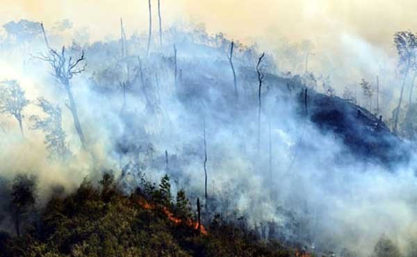 Vụ cháy rừng Hoàng Liên (Sa Pa) đầu năm 2014.
