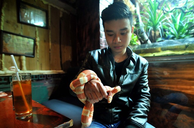 Quán cà phê có 40 con rắn, thằn lằn, kỳ đà ở Hà Nội