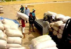 Bản tin 8H: Thương nhân Trung Quốc đẩy mạnh mua gạo Việt Nam