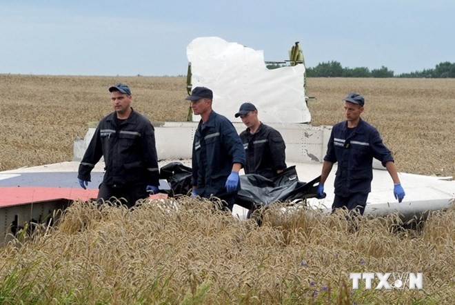 Lực lượng cứu hộ Ukraine tìm kiếm thi thể các nạn nhân tại hiện trường vụ rơi máy bay MH17. (Nguồn:AFP/TTXVN)