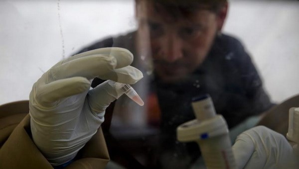 Nhà khoa học nghiên cứu virus Ebola tại một phòng thí nghiệm di động ở Gueckedou. (Nguồn: Reuters)