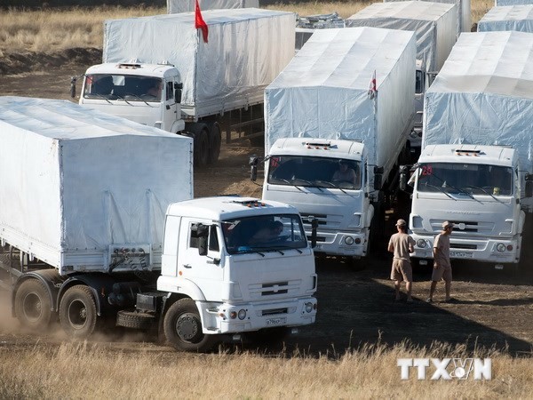 Đoàn xe chở hàng viện trợ của Nga. (Ảnh: AFP/TTXVN)