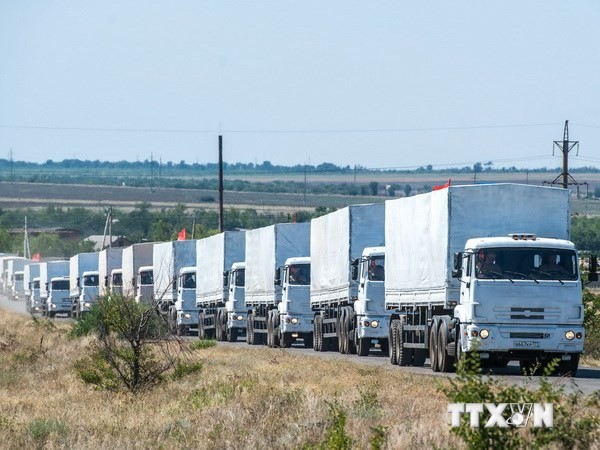  Đoàn xe chở hàng viện trợ nhân đạo ở điểm kiểm soát Donetsk tại khu vực biên giới ngày 17/8 (Nguồn: AFP/TTXVN)