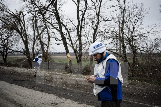 Thành viên phái bộ OSCE điều tra mảnh đạn pháo gần làng Shirokino, Ukraine. (Nguồn: AFP/TTXVN)