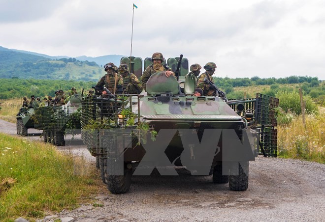 Lực lượng an ninh Ukraine gác tại tuyến đường dẫn đến làng Bobrovyshche, gần thị trấn Mukachevo ngày 13/7. (Nguồn: AFP/TTXVN)