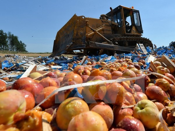 Nga tiến hành tiêu hủy hoa quả nhập khẩu trái phép tại thành phố Novozybkov, cách Moskva 600km ngày 7/8. (Nguồn: AFP/TTXVN)
