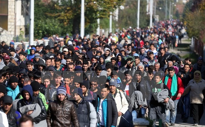 Khoảng 2.000 người di cư tới thị trấn Kljuc Brdovecki, biên giới Croatia-Slovenia bằng tàu hỏa ngày 24/10. (Nguồn: AFP/TTXVN)