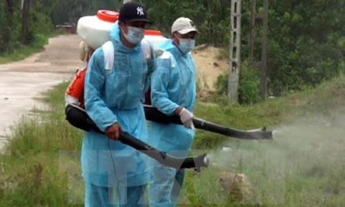 Phun thuốc ngừa muỗi - nguồn lây nhiễm vi rút Zika. Ảnh: TTXVN