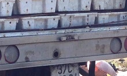 Hơn 3 tấn cá thối được đóng trong các khay nhựa trên xe tải do tài xế Tùng vận chuyển.