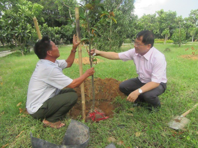 Ông Lê Xuân Sơn và đại diện Ban quản lý nghĩa trang đang trồng cây vú sữa 