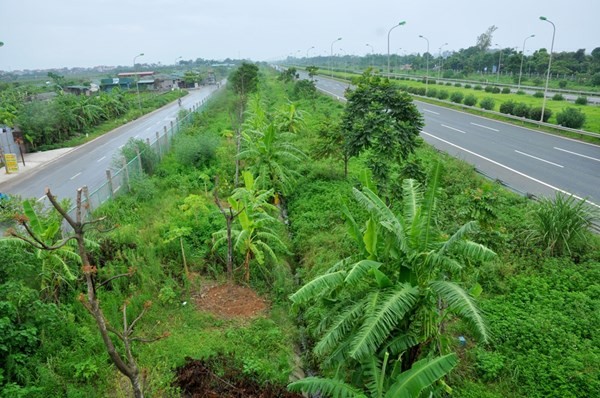 Thành phố Hà Nội cắt giảm 40,38% kinh phí đặt hàng thường xuyên lĩnh vực duy trì công viên, cây xanh.