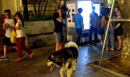 Việc thả chó, dắt chó đi dạo trong các tuyến phố đi bộ gây nhiều lo ngại cho du khách.
