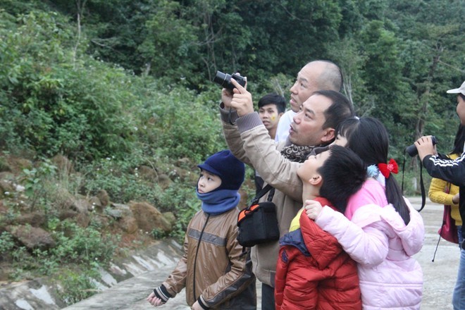Du khách dùng máy ảnh quan sát vọoc chà vá chân nâu trên núi Sơn Trà. Ảnh: Thanh Trần.