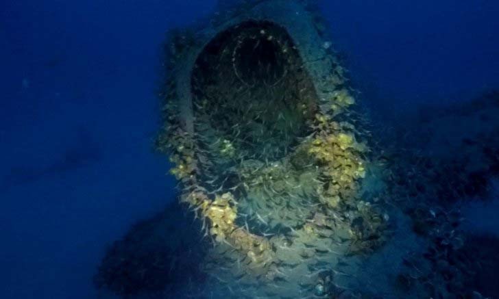 Một phần xác tàu dưới biển Địa Trung Hải.
