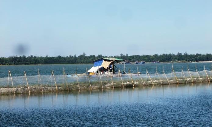 Vùng đầm phá xảy ra vụ đuối nước thương tâm, làm hai cháu bé mồ côi tử vong. 