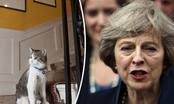 Mèo Larry vẫn ở lại dinh Thủ tướng làm công việc bắt chuột.