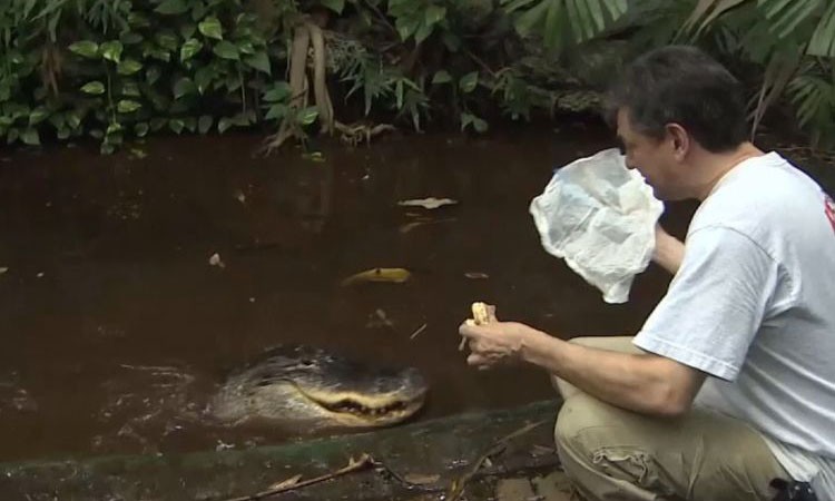 Ông Buren nuôi cá sấu trong vườn nhà suốt 47 năm.