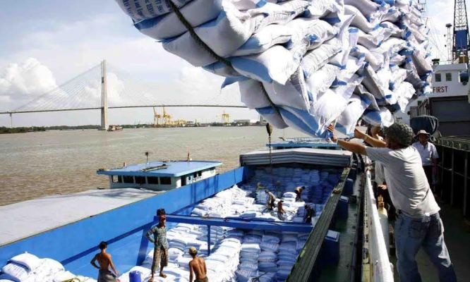 Việc công nhận 8 công ty khử trùng, sẽ tạo điều kiện để Việt Nam đẩy mạnh xuất khẩu gạo chính ngạch sang Trung Quốc