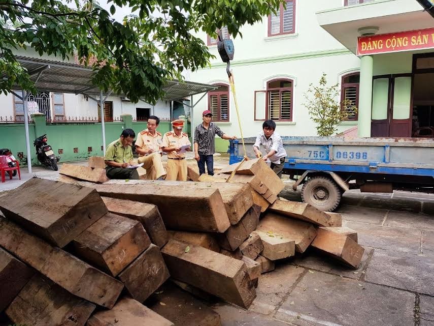 Hàng chục phách gỗ de, gỗ dỗi bị tịch thu do kê khai trái quy định khi vận chuyển. 