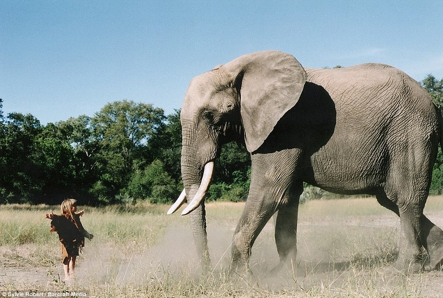 Câu chuyện về “nữ Tarzan” lớn lên cùng voi, báo châu Phi