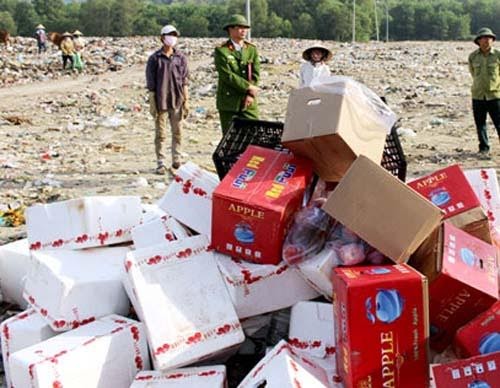 Nghệ An: Thu giữ 4,5 tấn hoa quả không có giấy tờ hợp lệ
