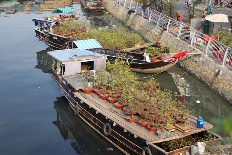 Nằm ven kênh Tàu Hủ, chợ hoa bến Bình Đông được xem là chợ hoa trên sông lâu đời nhất Sài Gòn. Đây là nơi tập kết của phần lớn thuyền hoa ở các tỉnh miền Tây. 
