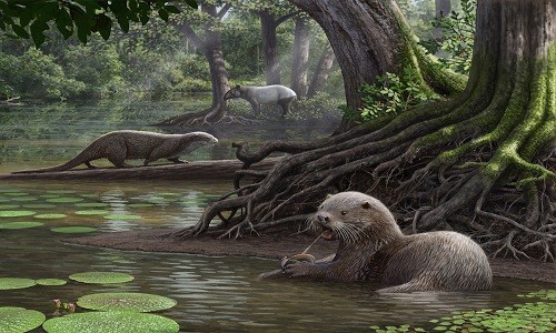 Hóa thạch rái cá 6,2 triệu năm tuổi to như chó sói được tìm thấy ở Trung Quốc. Ảnh minh họa: Mauricio Antón.