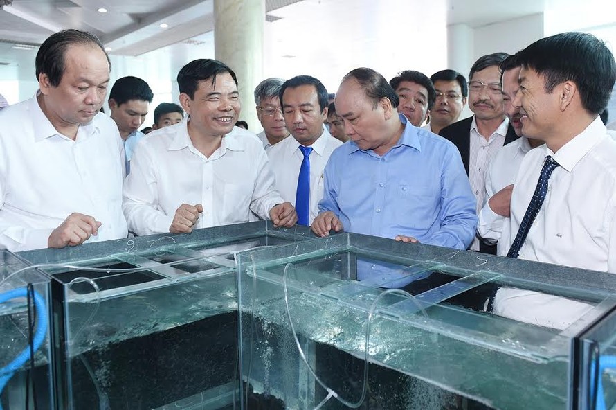Thủ tướng thăm khu vực trưng bày tôm giống tại một cơ sở sản xuất.