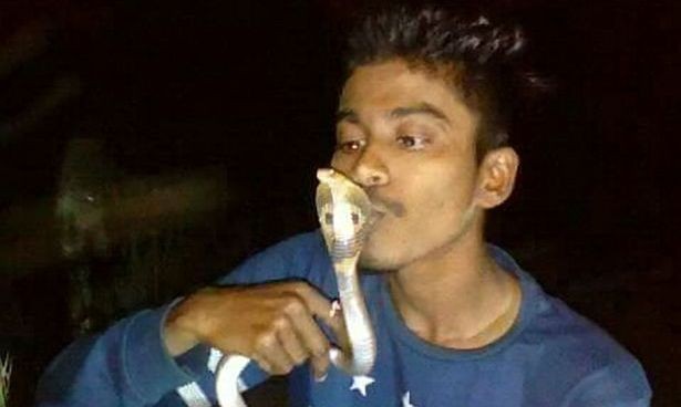 Bức ảnh Somnath Mhatre cố hôn vào đầu rắn hổ mang.