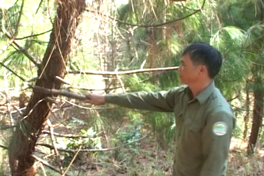 Nhân viên Trịnh Xuân Khấm trong một lần tuần tra bảo vệ rừng. ẢNH: Cơ quan Công an cung cấp.