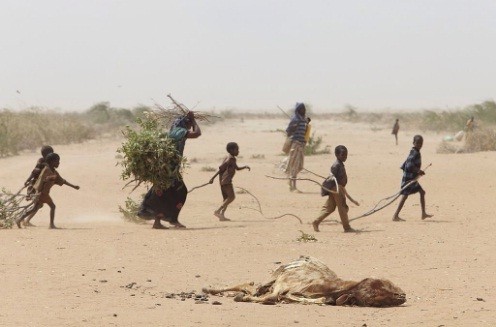 Hạn hán nghiêm trọng đang giết dần Somalia. Ảnh: Twitter