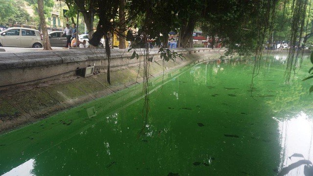 Công ty Thoát nước Hà Nội cho biết, thời gian đầu sau nạo vét tảo độc có thể xảy ra ở hồ Hoàn Kiếm (Ảnh: Nguyễn Dương)