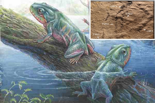 Phát hiện dấu chân động vật cổ xưa nhất trong lịch sử