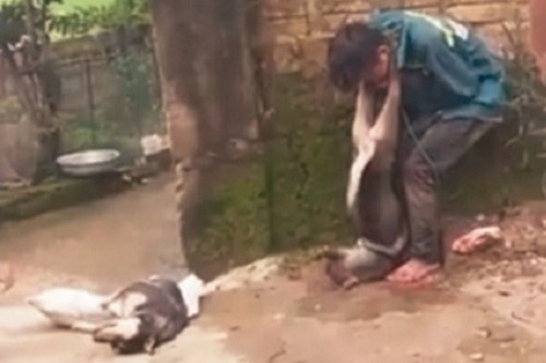 Nam thanh niên bị bắt trói và treo chó lên cổ để trừng phạt.