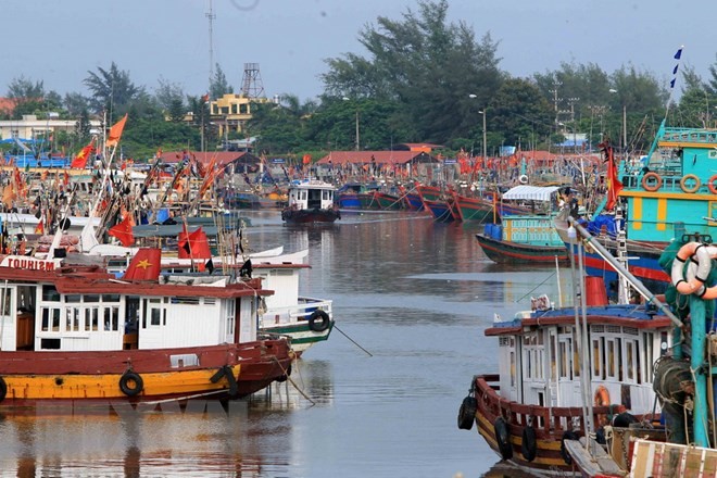 àu, thuyền neo đậu tránh bão an toàn tại khu cảng cá Ngọc Hải, Đồ Sơn. Ảnh: TTXVN