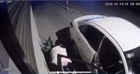 Người phụ nữ lái ô tô bê trộm chậu cảnh đặt ven đường.