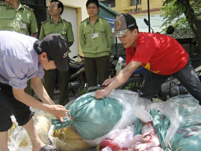 Vụ bắt giữ hơn 1 tấn nội tạng lợn bốc mùi tại ngõ 238 Âu Cơ, Tây Hồ, Hà Nội