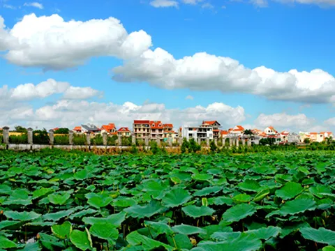Rao bán biệt thự trăm tỷ đồng thời địa ốc khủng hoảng