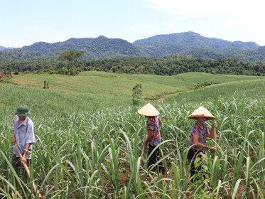 Làng mới Sông Chàng ở non cao