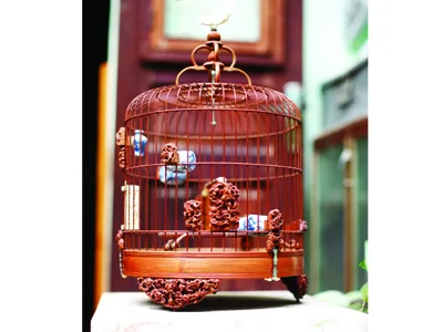 Những chiếc lồng 'khủng'