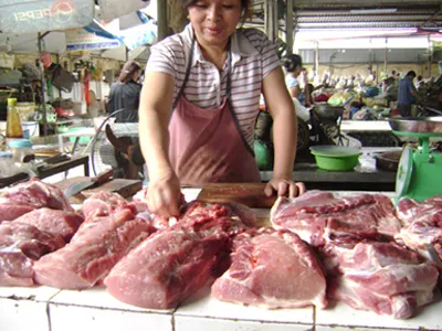 Phê bình Cục Thú y về quy định bán thịt trong tám giờ