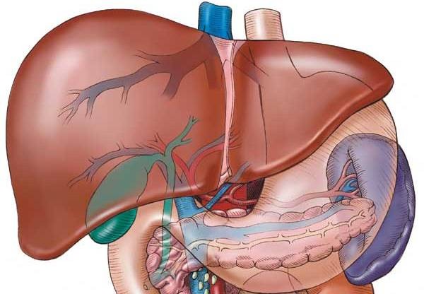 Các yếu tố làm tăng nguy cơ mắc ung thư gan